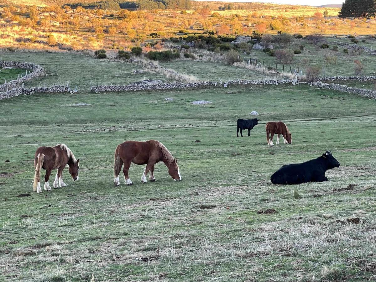 La Nava De Gredos Acogedor Piso Con Vistas Apartment Navarredonda de Gredos Bagian luar foto